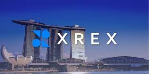 Skywin Xerox printing services