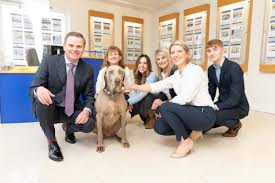 Bowe Property Dealers professional office for residential and commercial property consultation